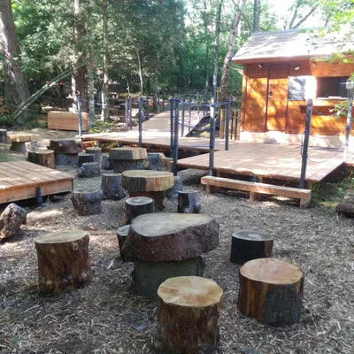 La Forêt des Arboris — vue 1, activité à Aydat (Puy-de-Dôme)