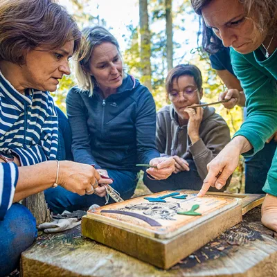 La Forêt des Arboris — vue 2, activité à Aydat (Puy-de-Dôme)