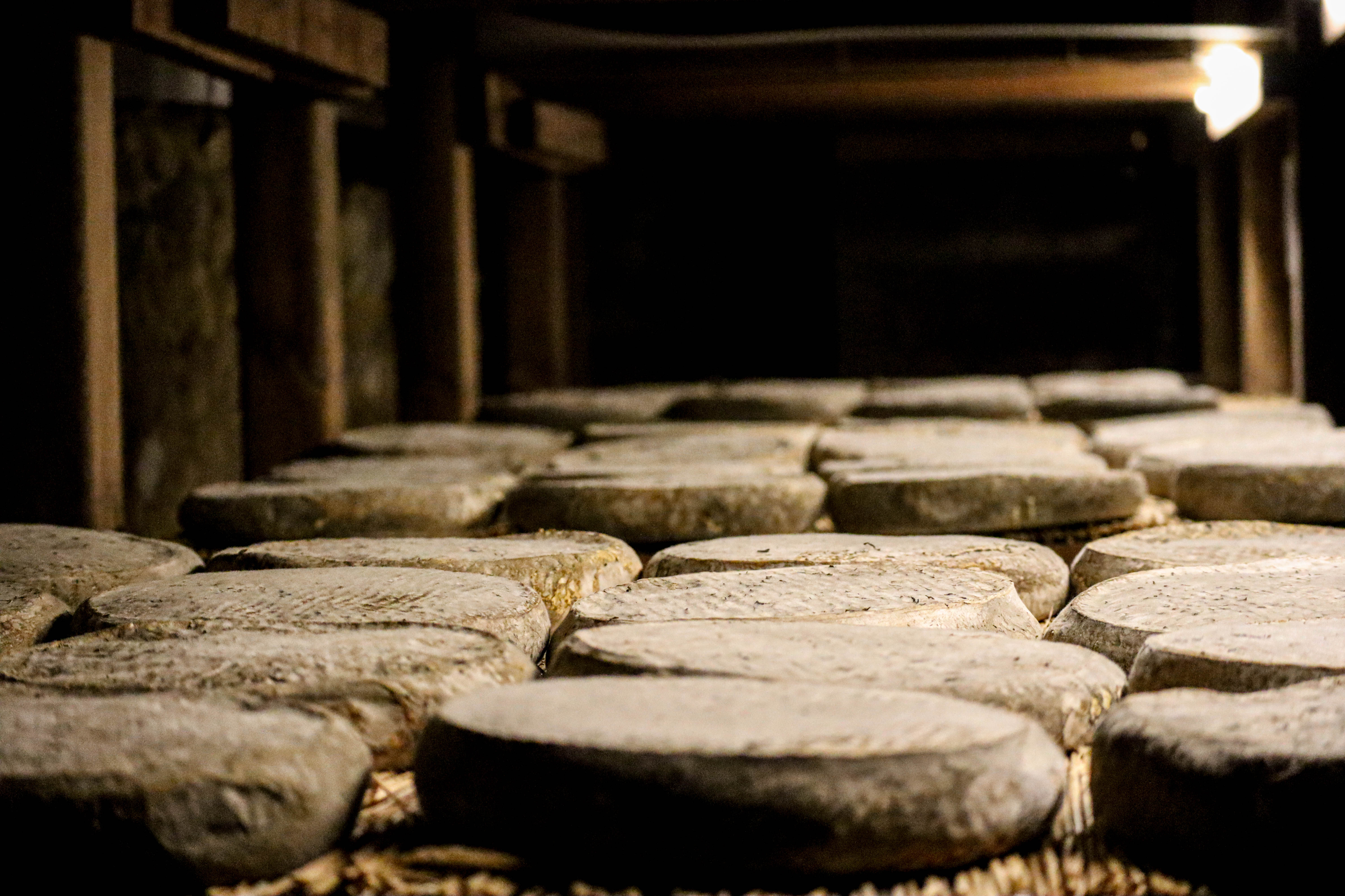 La Maison du Fromage