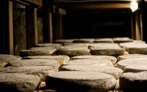 La Maison du Fromage, activité à Saint-Nectaire
