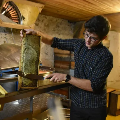 La Ruche des Puys — vue 2, activité à Saint-Ours-les-Roches (Puy-de-Dôme)