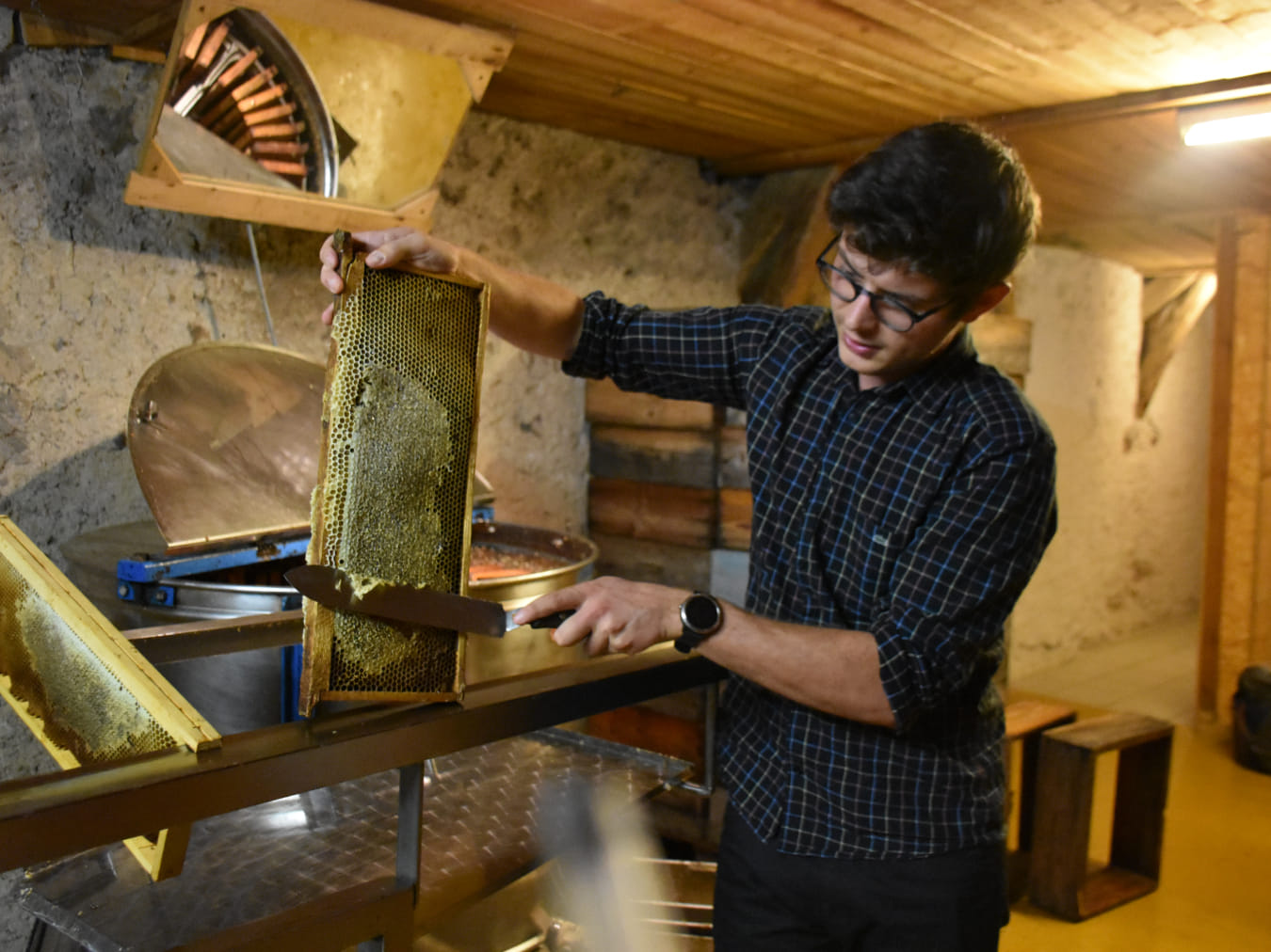 Photo 3 de La Ruche des Puys