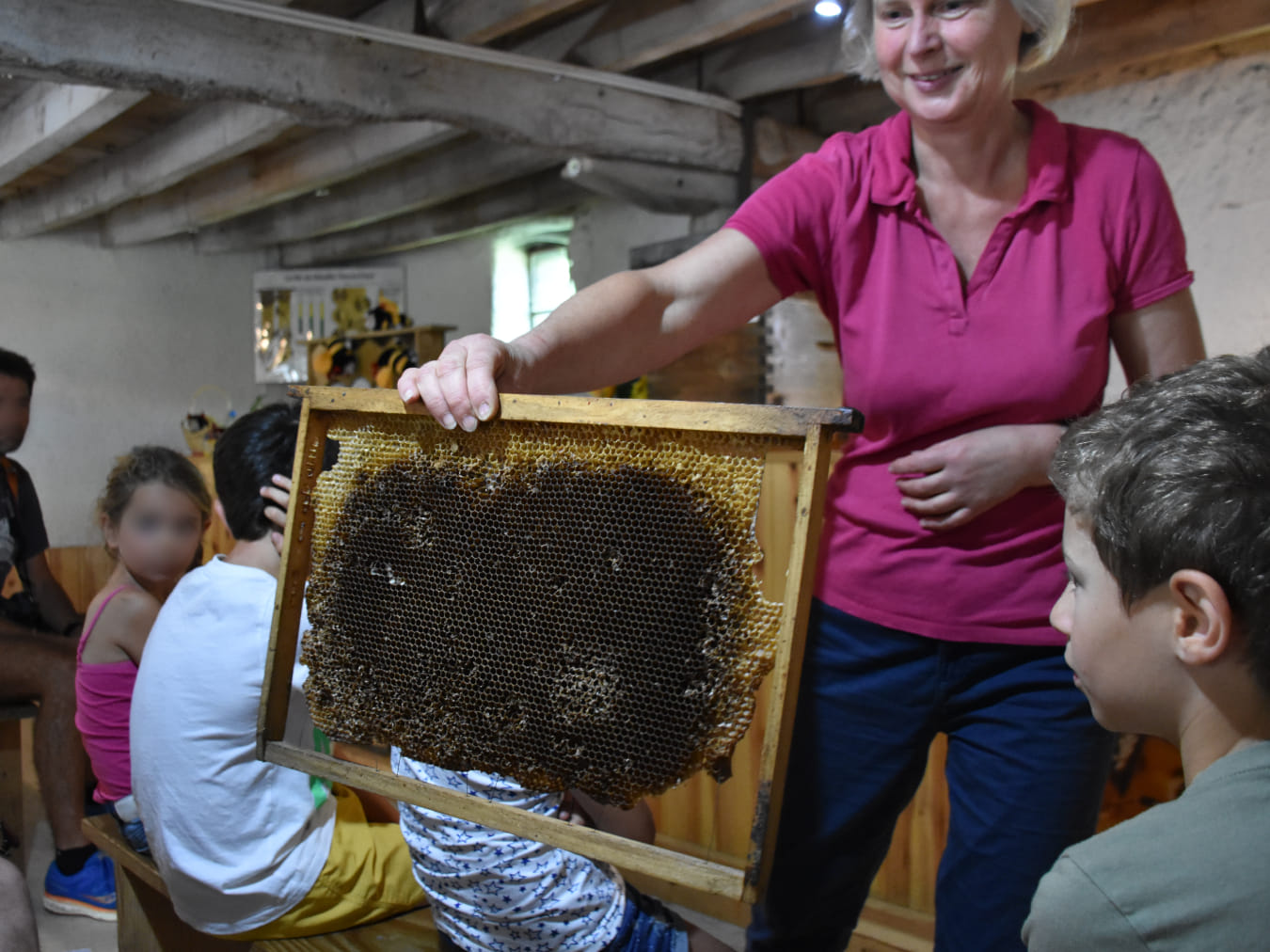 Photo 4 de La Ruche des Puys