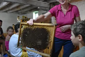 La Ruche des Puys — vue 3, activité à Saint-Ours-les-Roches (Puy-de-Dôme)
