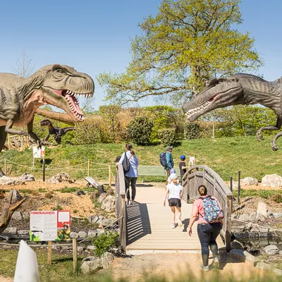 Paléopolis-Parc — vue 1, activité à Gannat (Puy-de-Dôme)