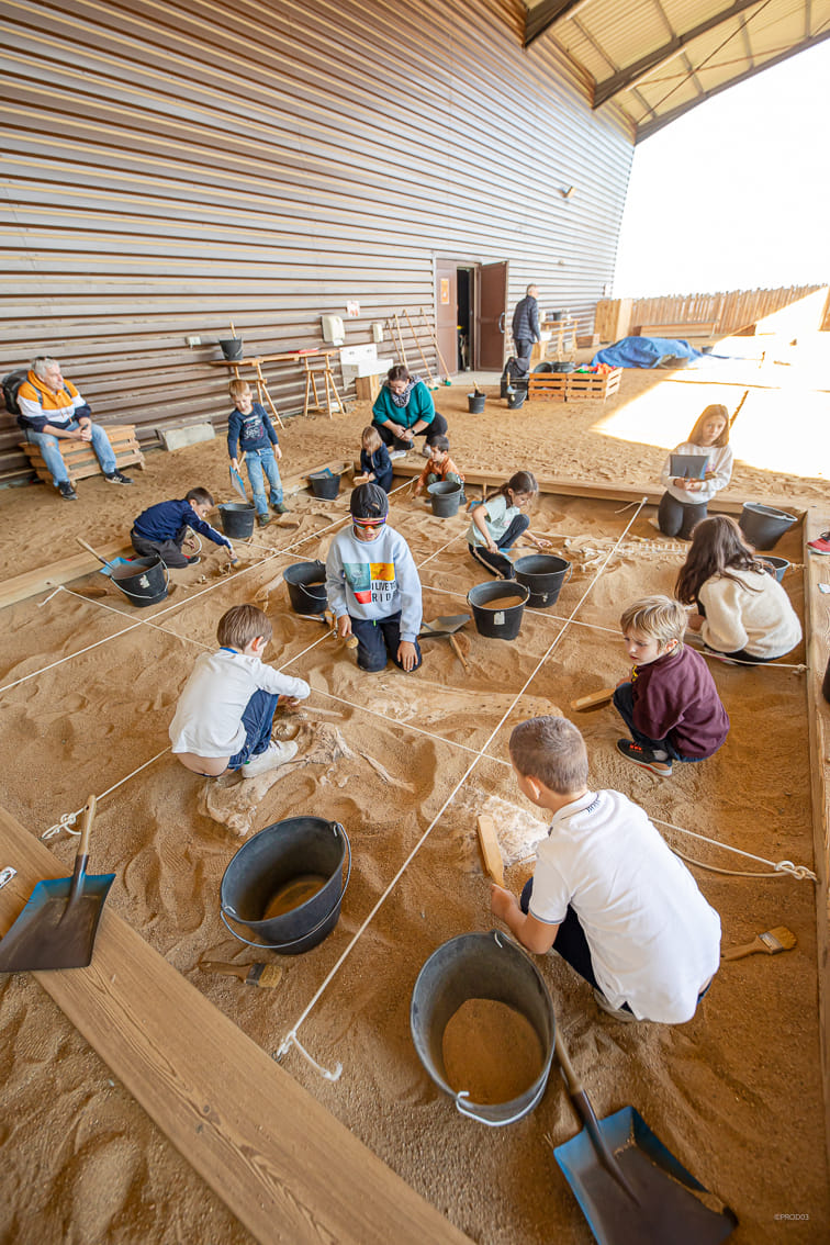 Photo 3 de Paléopolis-Parc