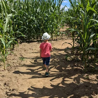 Popcorn Labyrinthe — vue 1, activité à Bromont-Lamothe (Puy-de-Dôme)
