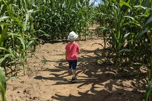 Popcorn Labyrinthe — vue 1, activité à Bromont-Lamothe (Puy-de-Dôme)