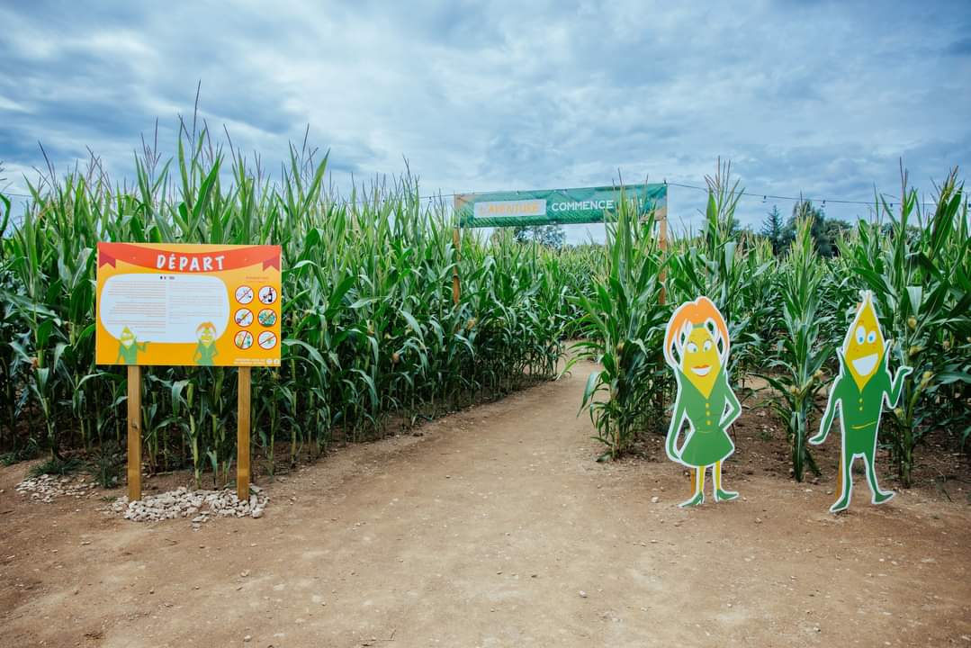 Photo 3 de Popcorn Labyrinthe