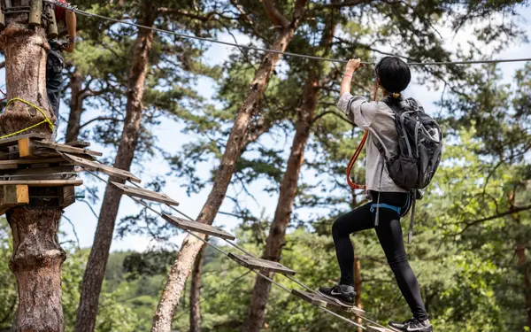 Saint-Nectaire Aventures, activité à Saint-Nectaire